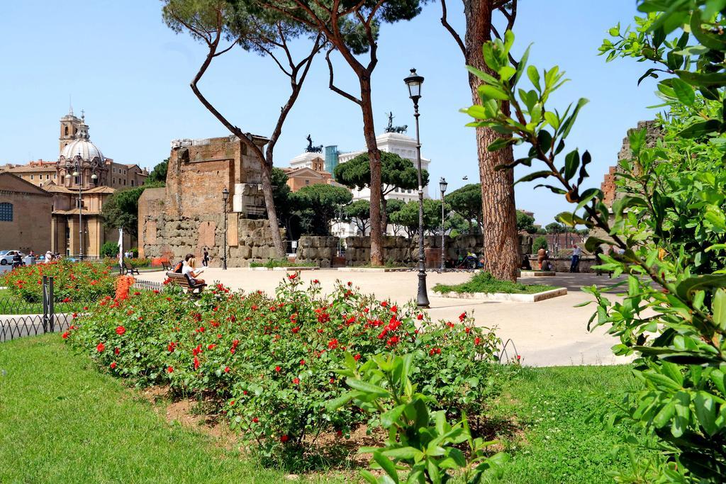 Elegant Vibia 300 Mt From Colosseum *